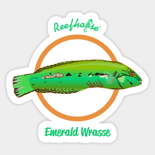 Emerald Wrasse Sticker